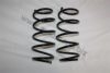 AUTOMEGA 3003120102 Coil Spring